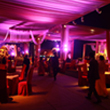 Kingsville Resorts